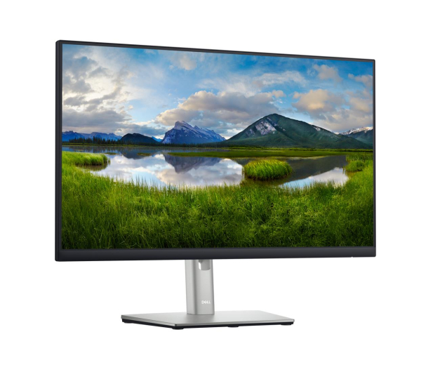 Dell P2422HE/5Y - 1165187 - zdjęcie 2